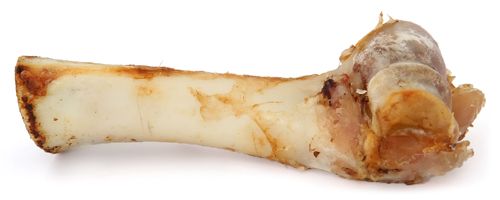 natural dog bone