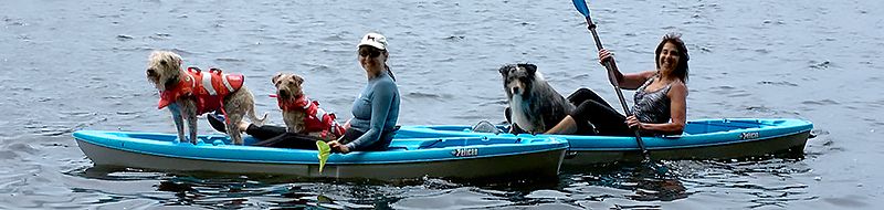paddling with pups