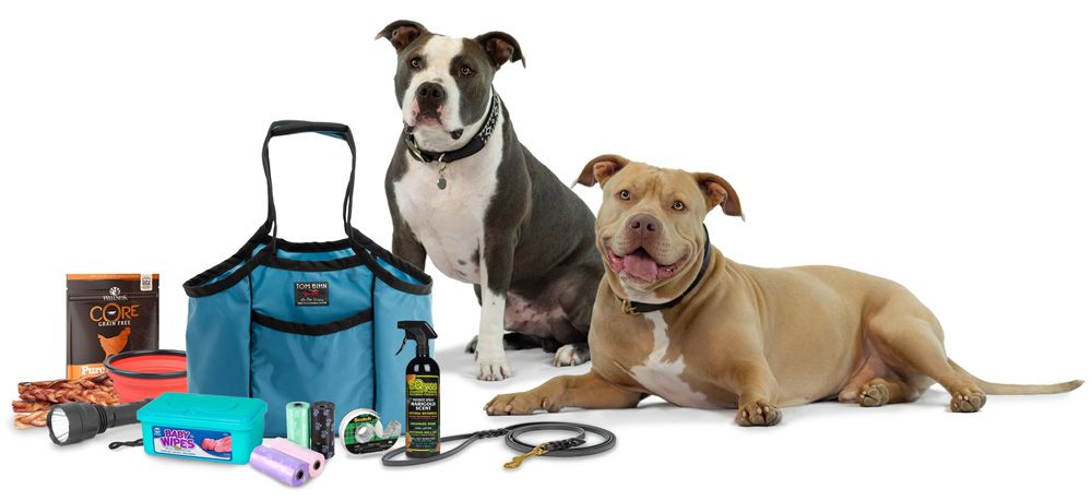 Dog travel diaper bag best sale