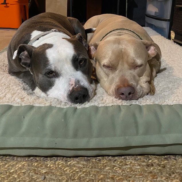 Leroy_titan_green_mattress_sq