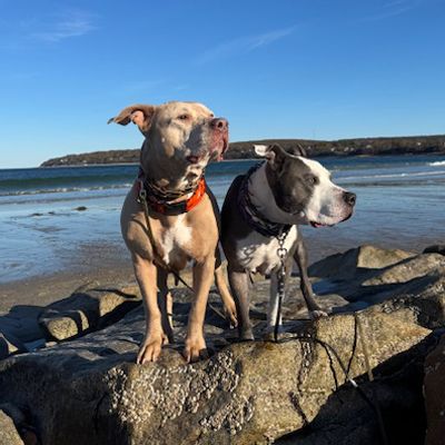Leroy_titan_on_rocks_sq