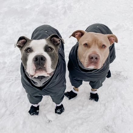 Leroy_titan_snow_sq